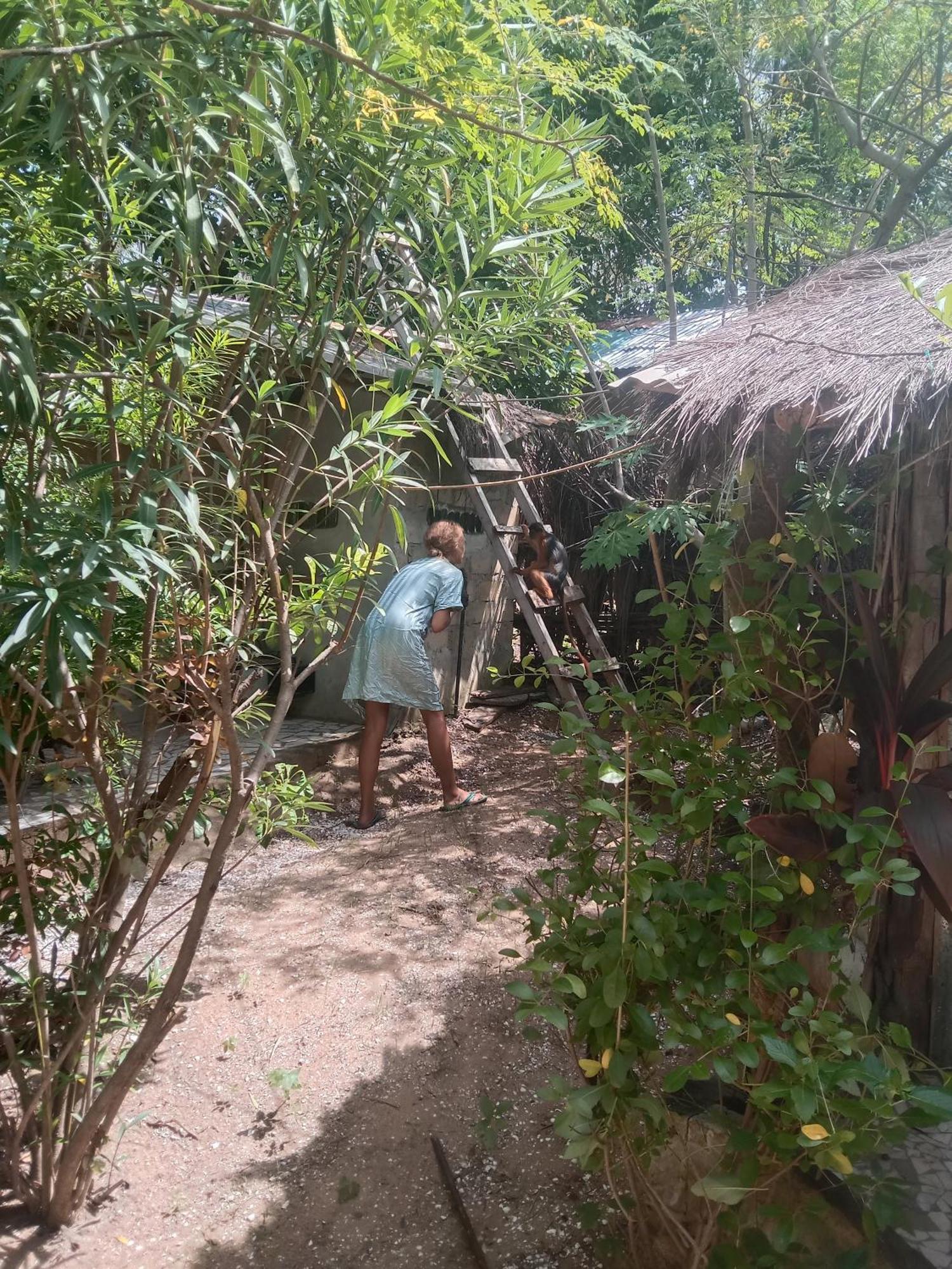 Chez Bethy & Baboulaye Jungle Et Ocean Villa Abémé Exterior foto